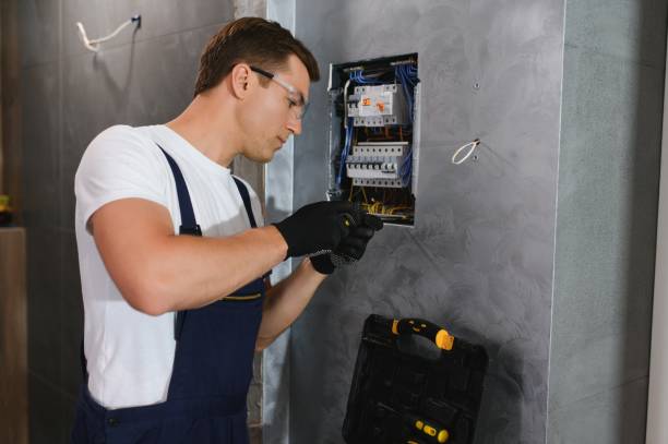 Best Electrical System Inspection  in Williamston, SC